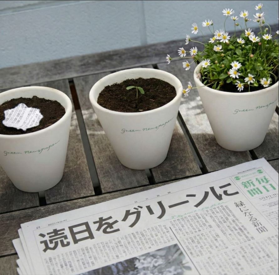 Уншиж дуусаад хөрсөнд суулгаж ургамал ургуулах боломжтой сониныг Япон улс хэвлэжээ