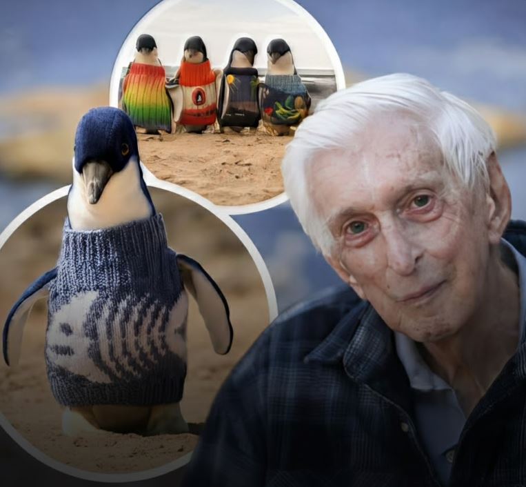 Сайн үйлс хийхэд хэзээ ч оройтохгүйг батлан харуулсан 110 настай Альфредийн түүх