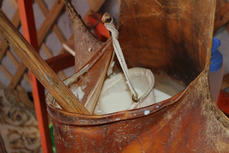 Айраг ууснаар сүүн бүтээгдэхүүний харшлыг бүрэн эмчлэх боломжтойг Монгол эрдэмтэд баталжээ